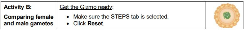 Gizmo Meiosis Answers Key activity b