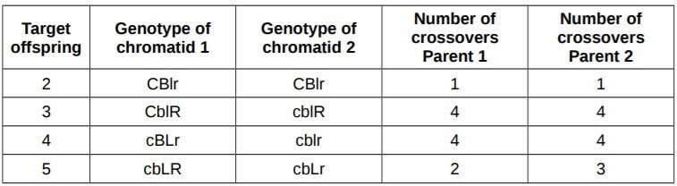 Gizmo Meiosis Answers Key activity d table