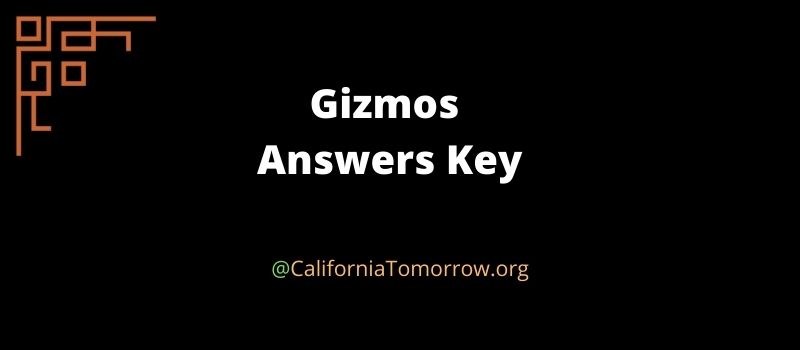 Gizmos Answers Key