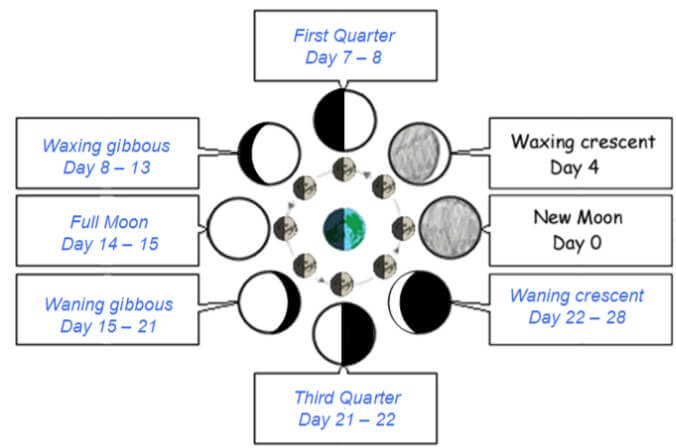 Phases Of The Moon Gizmo Answers - Activity B