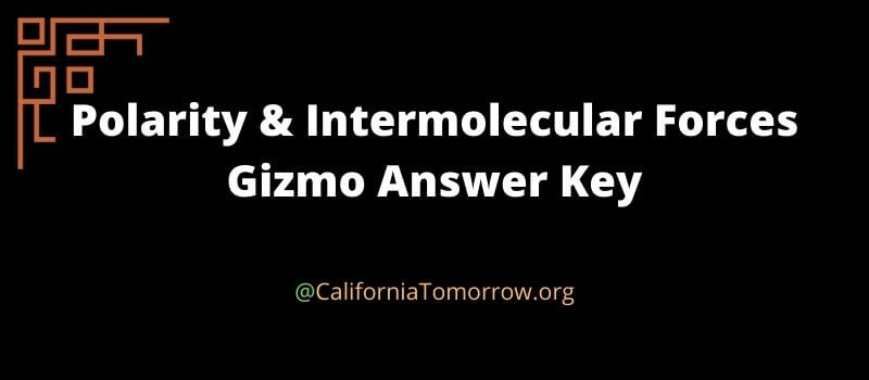 Polarity and Intermolecular Forces Gizmos Answer Key
