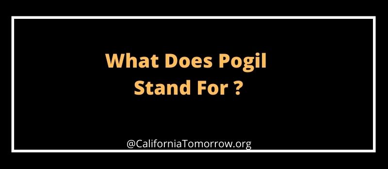 What Does Pogil Stand For
