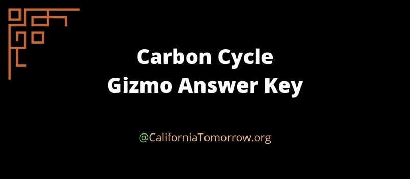 carbon cycle gizmo answers key