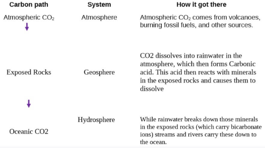 gizmos carbon cycle activity a answer key for q1