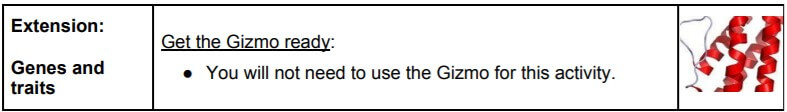 gizmo RNA and protein synthesis extension answers