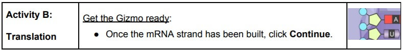 gizmo RNA and protein synthesis activity b answers 