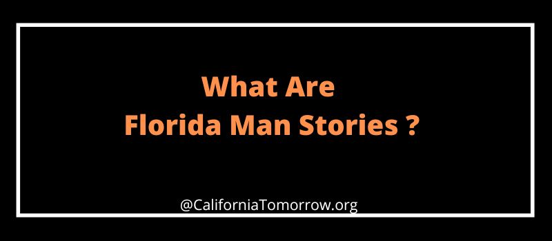 What Are Florida Man Stories